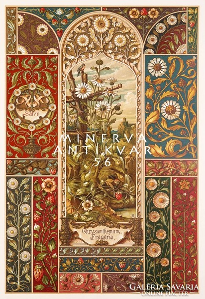 Százszorszép margaréta krizantém virágok szamóca eper levél A.Seder 1896 szecessziós nyomat reprint