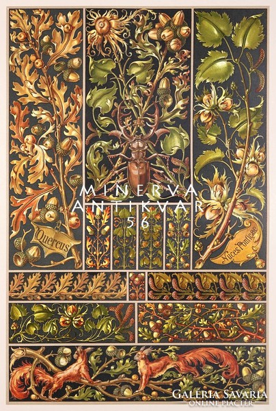 Tölgyfa, makk, mogyoró A.Seder 1896 szecessziós nyomat reprint levél termés szarvasbogár mókus minta