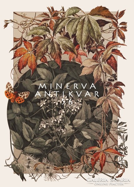 Vadszőlő levél virág termés indák kompozíció A.Seder 1896 szecessziós nyomat reprint lepke moly ősz