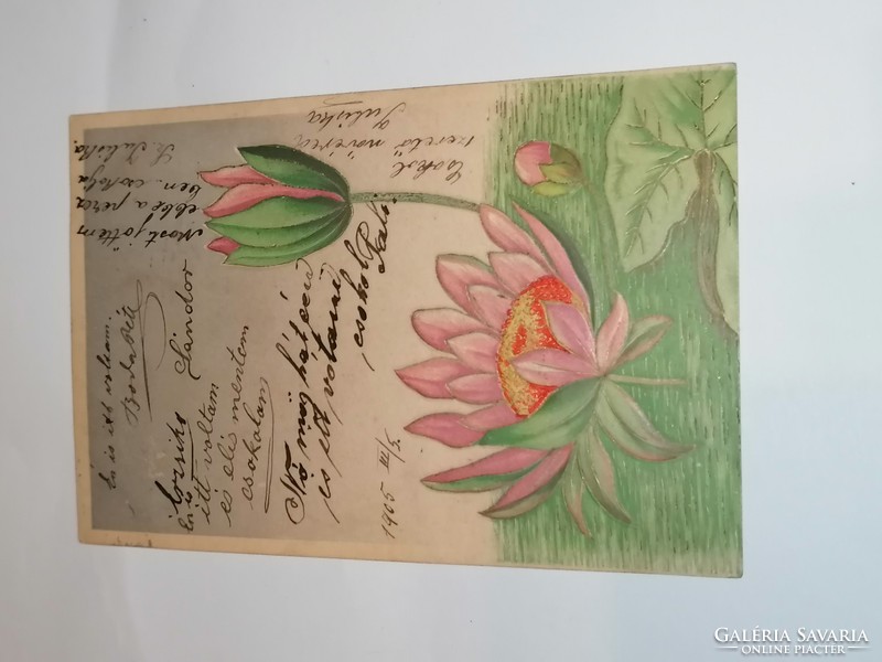 Különleges szépségű, dombornyomott tavirózsás üdvözlőlap, képeslap. 1905-ben feladva. 81.