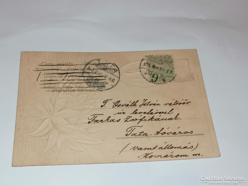 Különleges szépségű, dombornyomott tavirózsás üdvözlőlap, képeslap. 1905-ben feladva. 81.