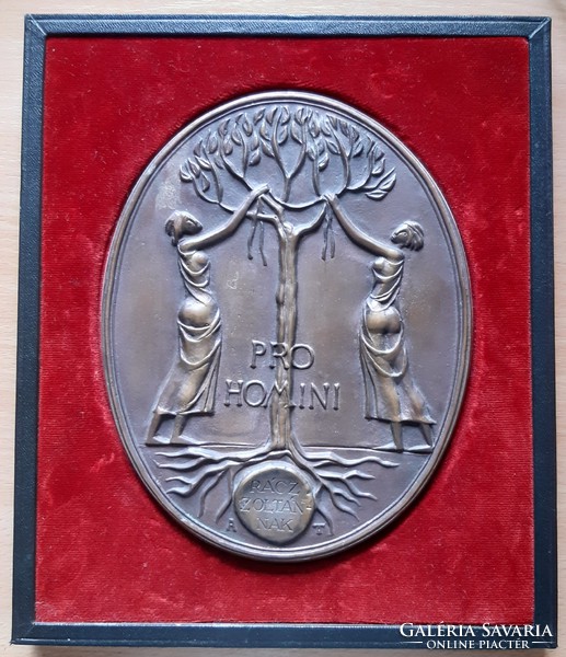 Asszomyi Tamás, bronz dombormű, relief