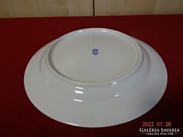 Lowland porcelain flat plate with sun pattern. He has! Jókai.