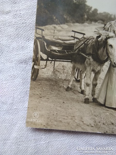 Old photo / life picture, elegant lady in hat with umbrella butt, 1937