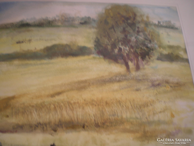 Hannelore spitzley, aquarell, signed / right, bottom /, frame: 40 x 50 cm; watercolor: 24 x 30 cm