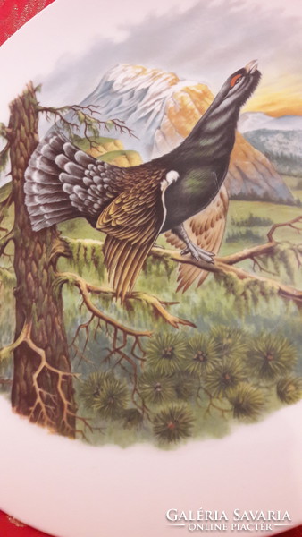 Deaf Hunter Decorative Plate, Porcelain Plate (m1995)