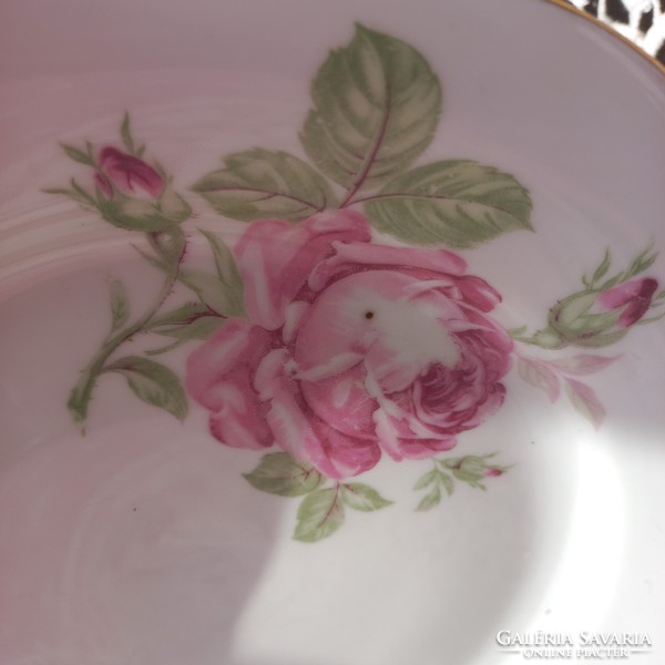 Old floral czech plate
