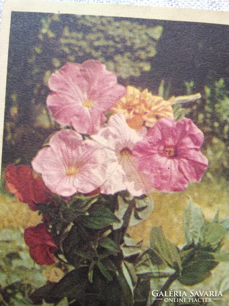 Old floral name day postcard / greeting card published by 1955 artists