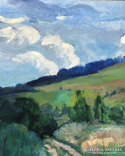 Bak Péter Róbert (1950 -) hilly landscape c. 60X80 cm oil painting