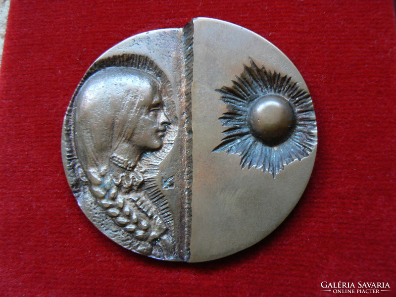 B-a-z county reward medal, medal (award), bronze sculpture in gift box