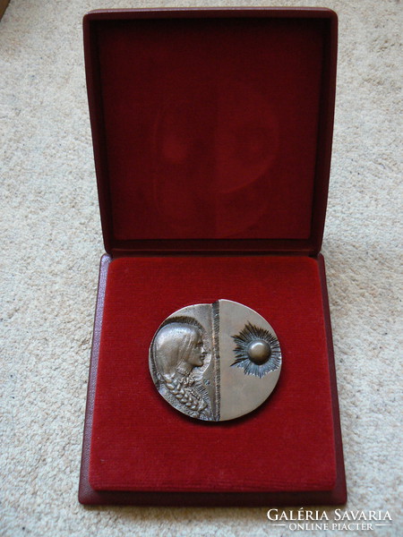 B-a-z county reward medal, medal (award), bronze sculpture in gift box