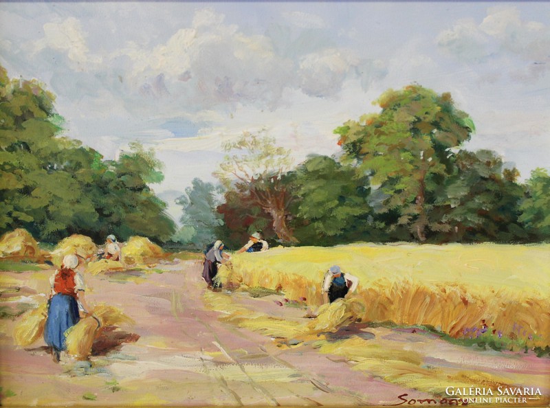 The work of Kálmán Somogyi from the harvesters