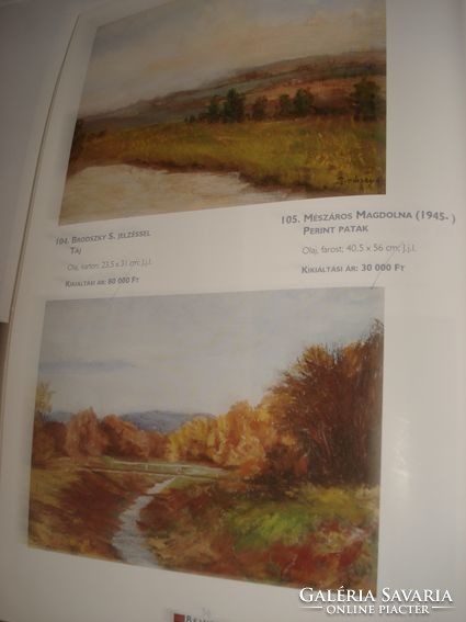 Mészáros Magdolna: Fonyódi harangláb