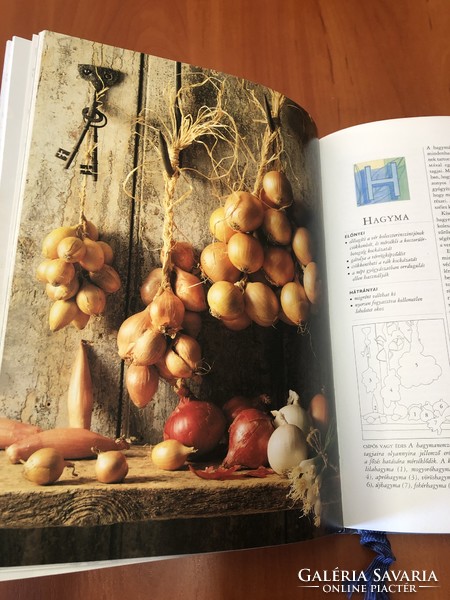 Healing Food Harmful Foods Book Health Nutrition Guide Illness Fruit Vegetable
