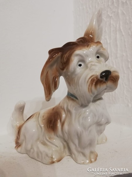 Bájos porcelán kutya