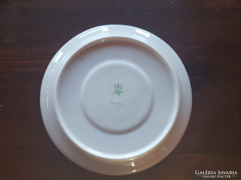 Raven house porcelain tea cup saucer, small plate