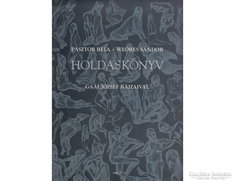 GAÁL JÓZSEF (1960-): Holdaskönyv 2003. akvarell, tusrajz, könyvillusztráció