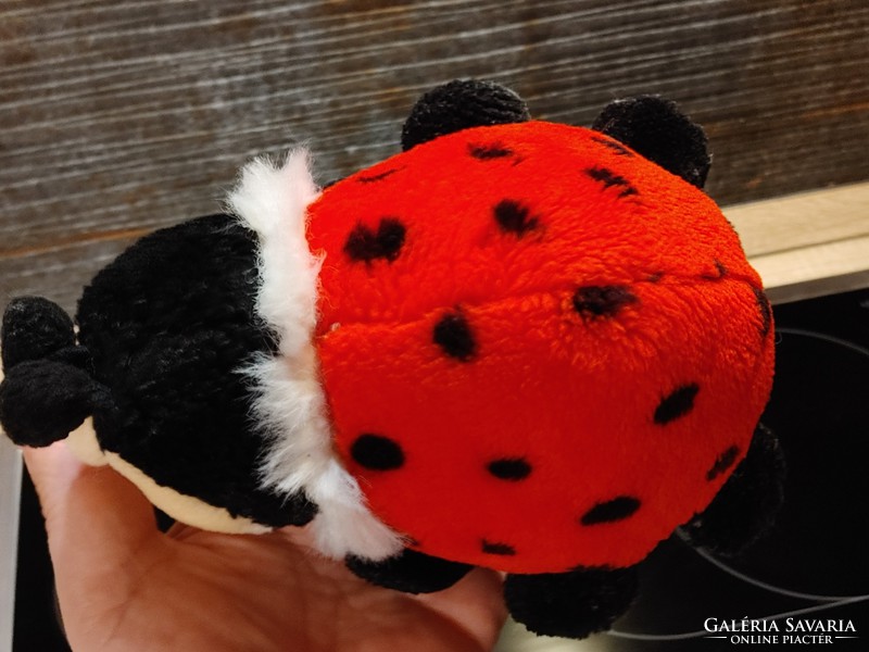 Ladybug beetle polka dot rarity