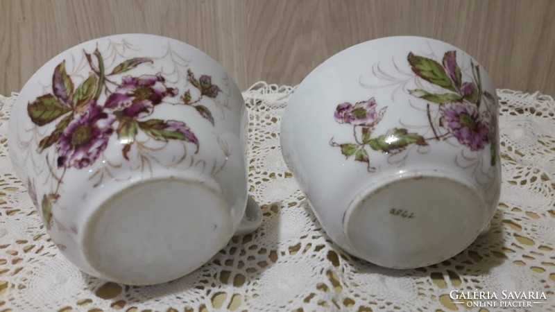 Beautiful floral thick-walled tea cups