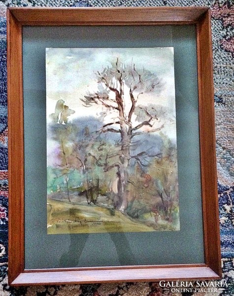 Watercolor picture, signed, with 43x32 cm frame