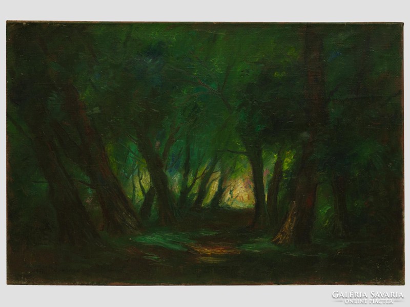 Przudzik Joseph - in the woods of spring forest