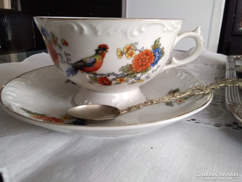 Old haas & czjzek two-person tea set from Schlaggenwald with hand-painted birds!