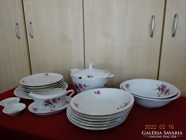 Lowland porcelain tableware with cyclamen flowers. 17 Pieces. He has! Jókai.