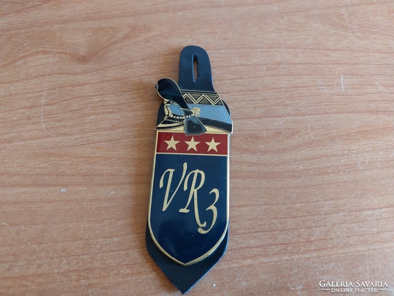 Some kind of military badge
