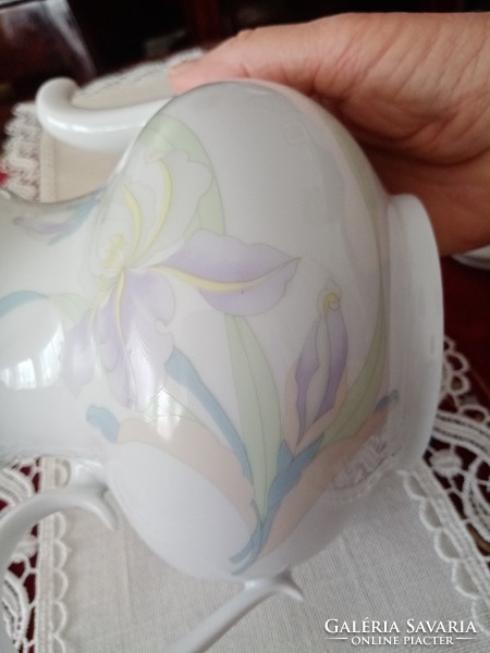 Old Art Nouveau iridescent Raven House porcelain tea / coffee pot / spout -- for Mother's Day!