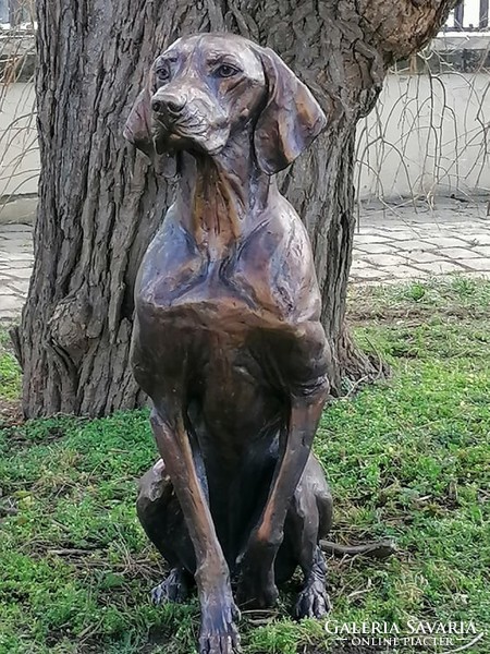 Életnagyságú Magyar Vizsla bronz szobor