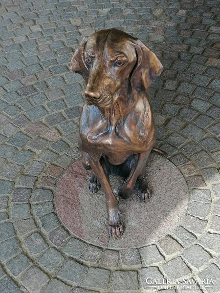 Life-size Hungarian Vizsla bronze statue