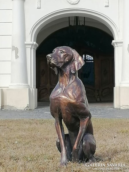 Life-size Hungarian Vizsla bronze statue