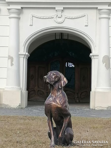 Life-size Hungarian Vizsla bronze statue