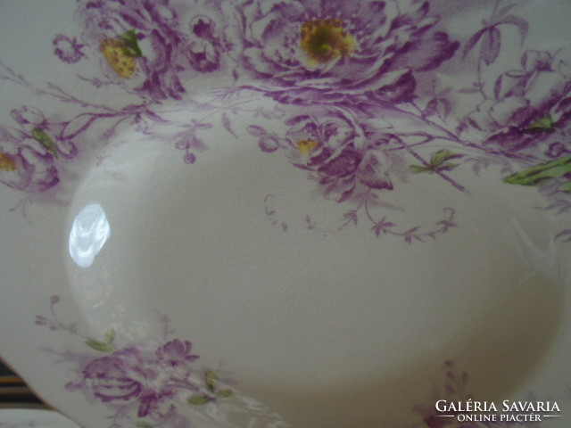 My real curiosity is a majolica tableware from 1899, maybe they have never been used by hand