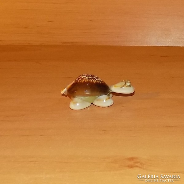 Tengeri csigából készült teknősbéka (1/p)