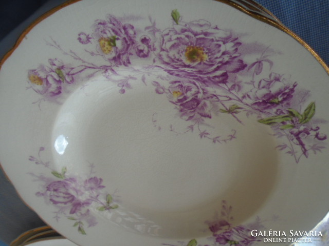 My real curiosity is a majolica tableware from 1899, maybe they have never been used by hand