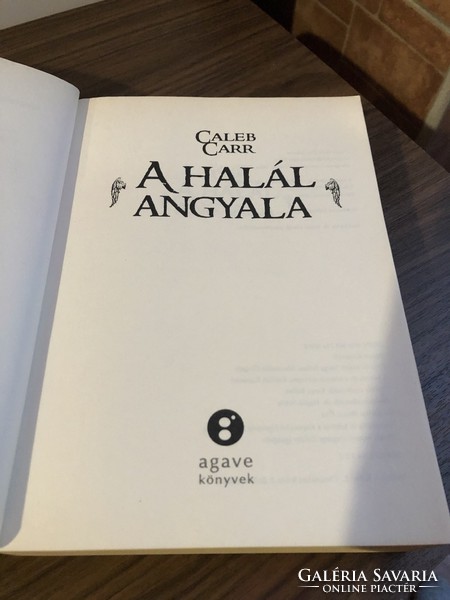 A Halál Angyala Caleb Carr  könyv regény krimi pszichológia történelmi regény