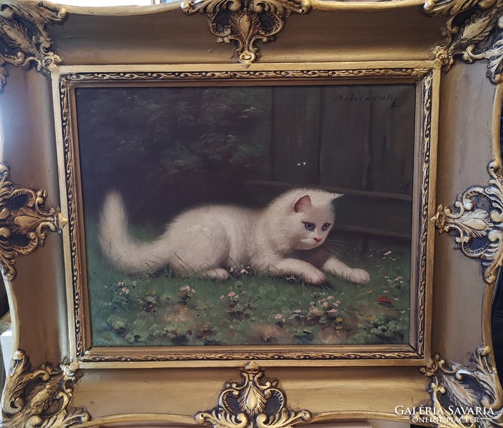 Boleradszky grows Persian kitten 40 x 50 cm. DEFEND.
