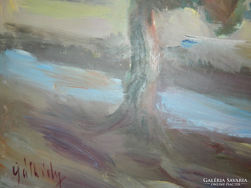 Gálhidy: landscape with huge oil / laminated canvas