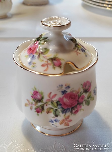 English royal albert 6-person porcelain tea coffee set, 21-piece pastry milk pour sugar bowl