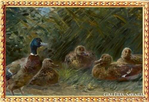 Ignác Újváry (1860 - 1927): bathing wild ducks