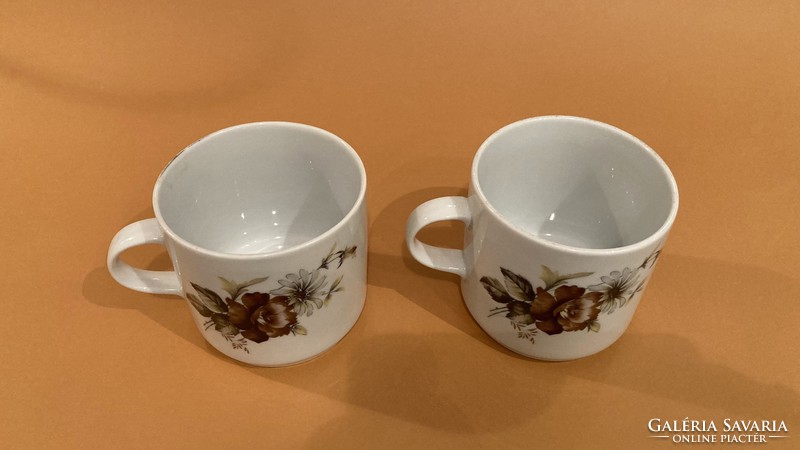 Great Plain 2 showcase brown flower mug with roses