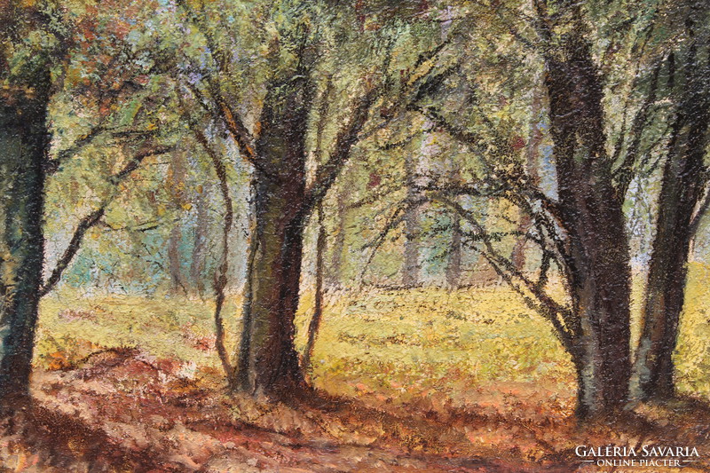 Boglár laszló: in the grove