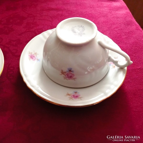 Antique Bavarian porcelain tea cup with saucer