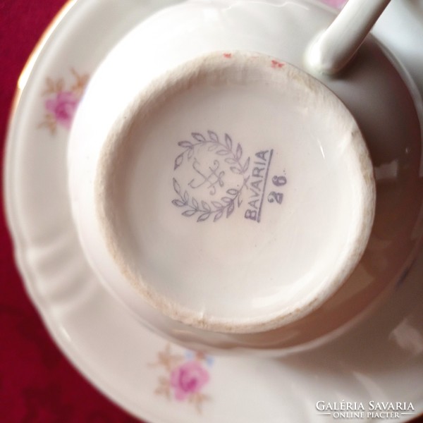 Antique Bavarian porcelain tea cup with saucer