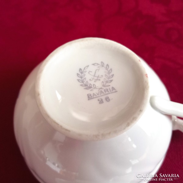 Antique Bavarian porcelain tea cup with saucer