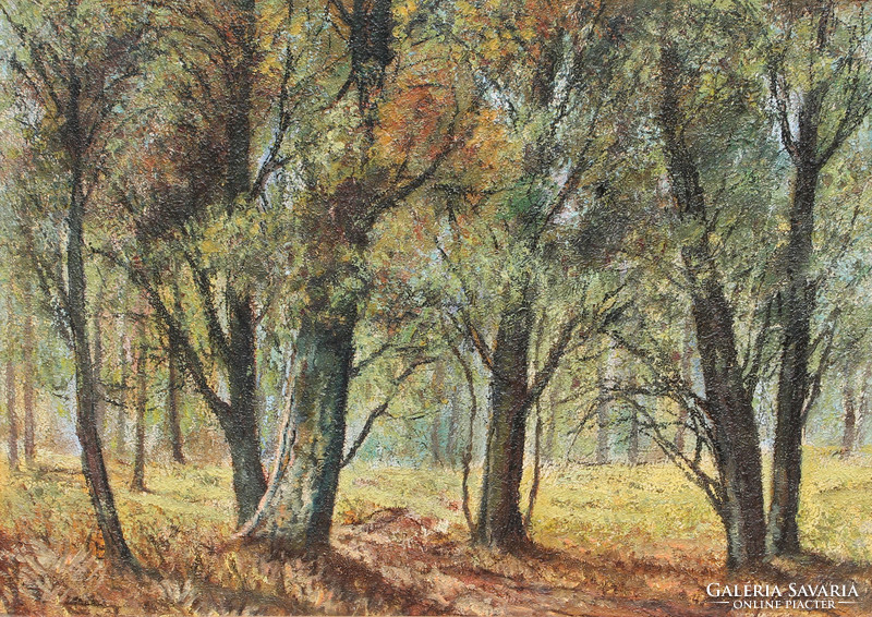 Boglár laszló: in the grove