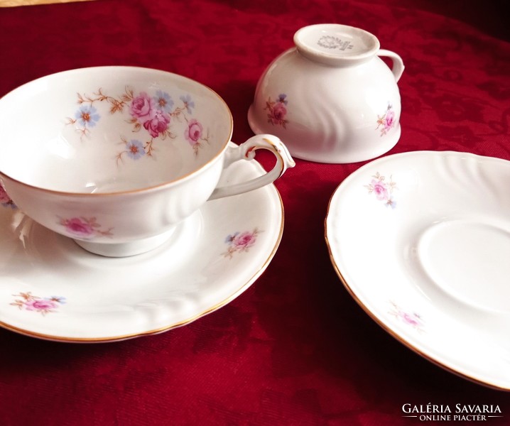 Antique Bavarian porcelain tea cup with saucer