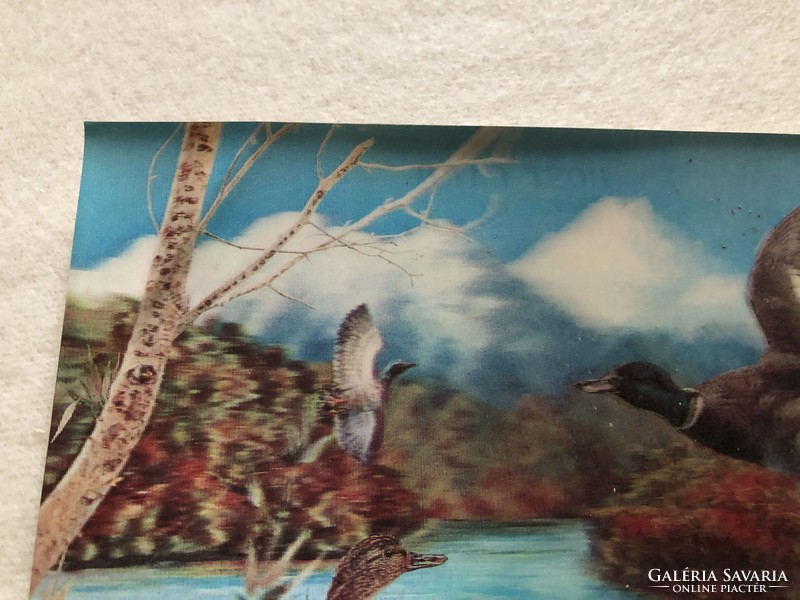 3D Old Wild Duck Postcard - Japan