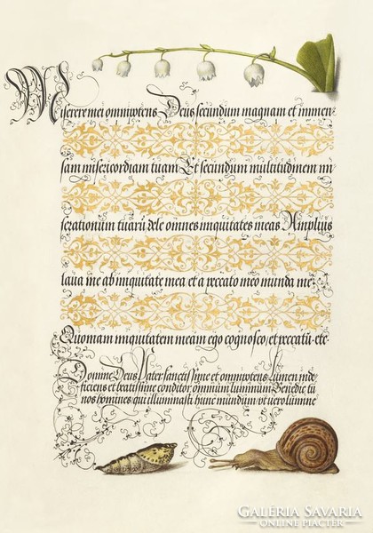 Középkori kézirat kalligráfia aranyozott díszítés csiga gyöngyvirág iniciálé 16.sz kézirat reprint